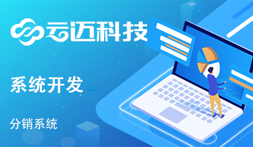 企業(yè)開發(fā)分銷系統(tǒng)有哪些運營優(yōu)勢？